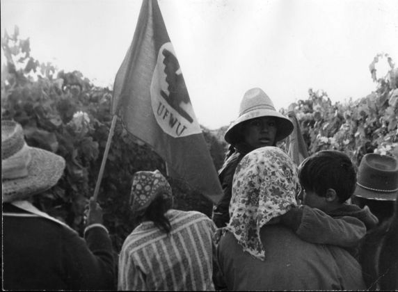 (3187) Demonstrations, Grape Field, 1973